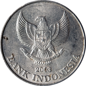 500 Ruphia