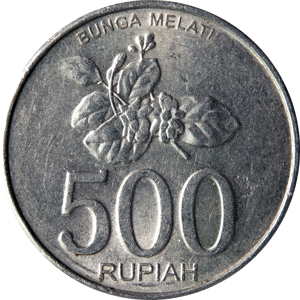 500 Ruphia