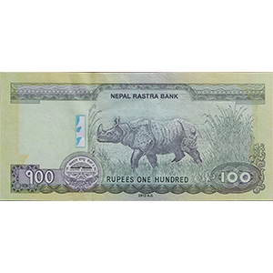 100 Rupees