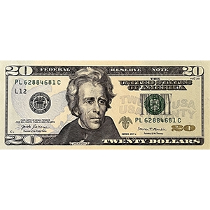 20 Dollars